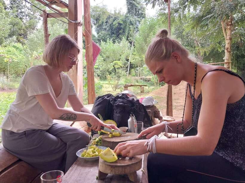 Luang Prabang: Organic Farm Experience & Hike to Kuang si - Why this day works so well in Luang Prabang