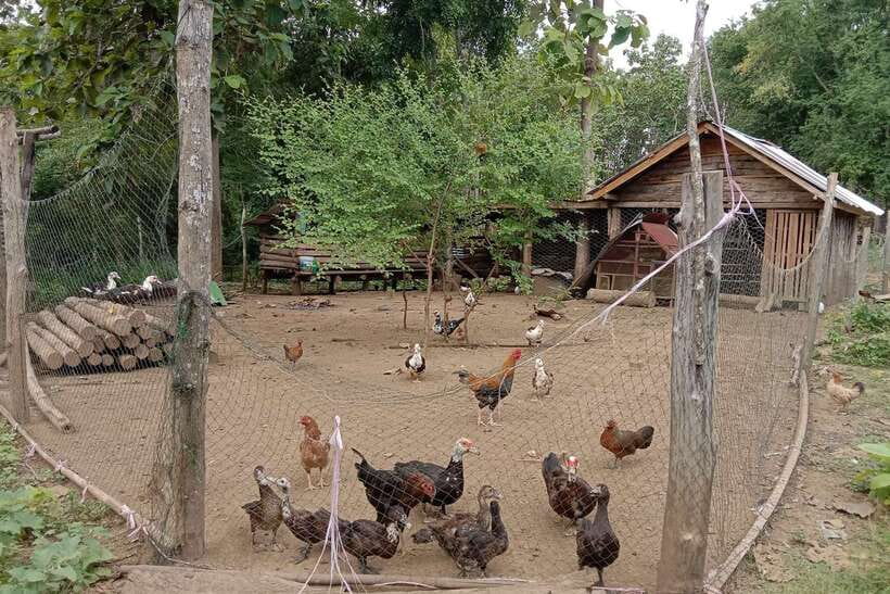 Luang Prabang: Organic Farm Experience & Hike to Kuang si - Lunch beside the river after the cooking class