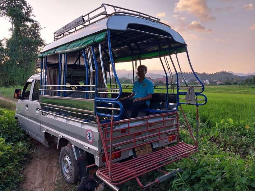 Luang Prabang: Organic Farm Experience & Hike to Kuang si - Meeting bears rescued from the wildlife trade