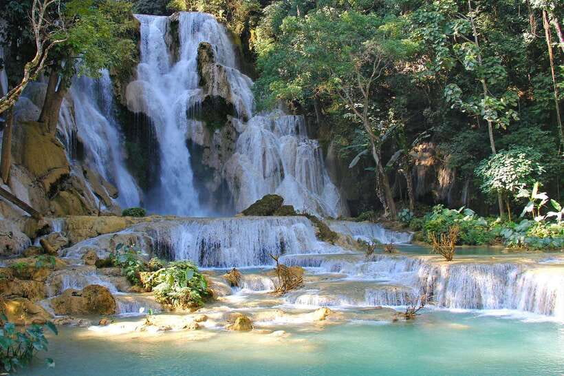 Luang Prabang: Organic Farm Experience & Hike to Kuang si - Picking ingredients from a family garden