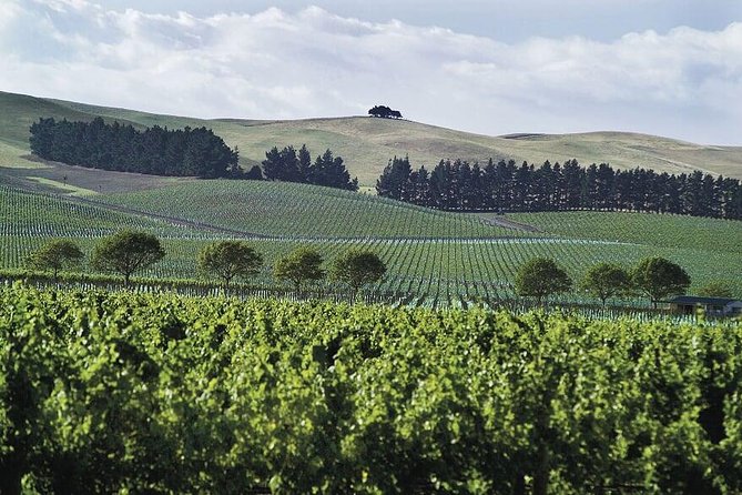 Lyttelton Cruise Excursions: Christchurch Sightseeing with Sheep Farm - Sign of the Takahe and the Southern Alps