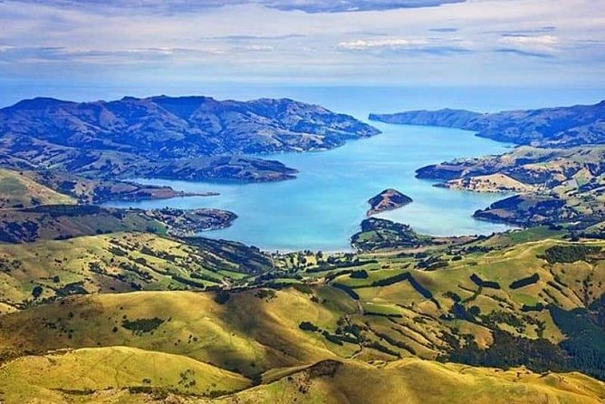Lyttelton Cruise Excursions: Christchurch Sightseeing with Sheep Farm - Toby Hill Farm, sheep dogs, and wool