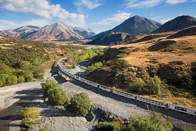 Lyttelton Cruise Excursions: Christchurch Sightseeing with Sheep Farm - Timing, cancellations, and who should book