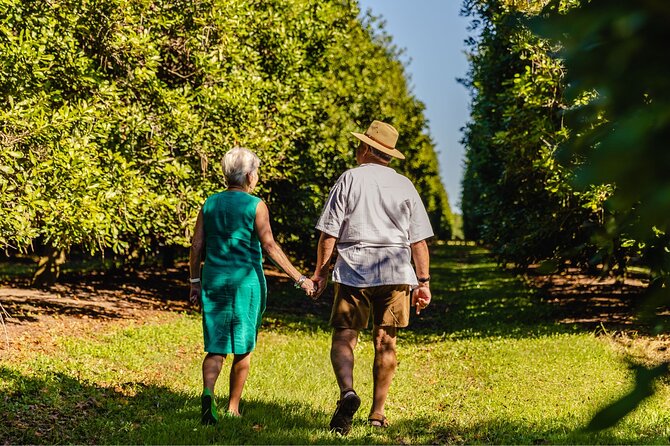 Macadamias Australia Orchard Tour in Bundaberg - Key points at a glance