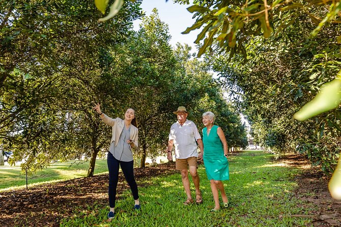 Macadamias Australia Orchard Tour in Bundaberg - Walking down Macadamia Lane