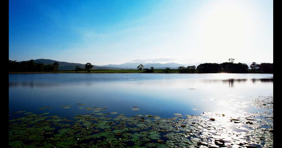 Mackay: 3 Hour Sugarcane Farm Tour - A personal introduction to Mackay sugarcane country