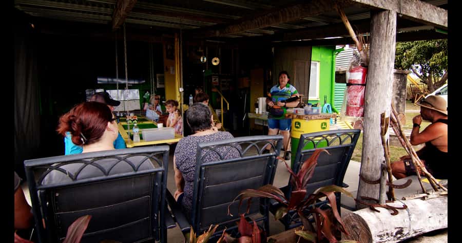 Mackay: 3 Hour Sugarcane Farm Tour - From green cane to fresh juice