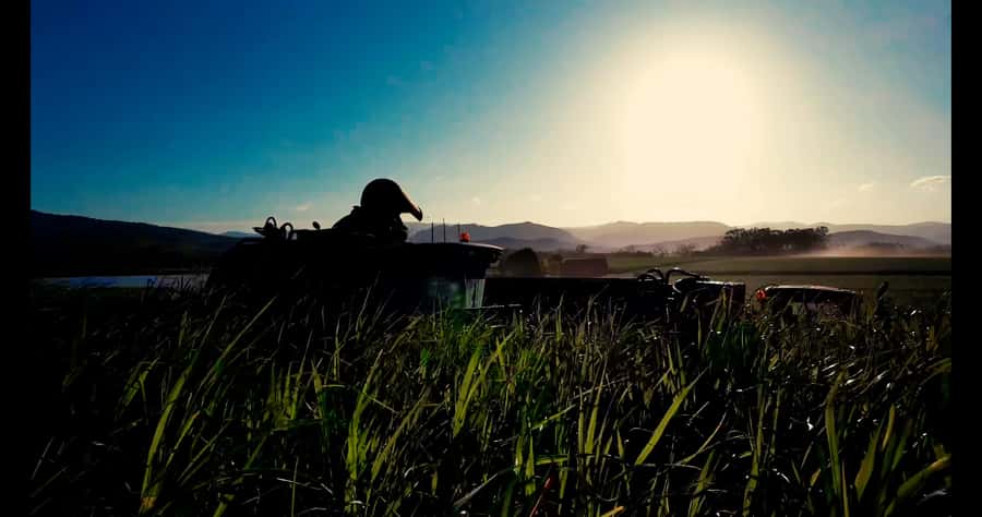 Mackay: 3 Hour Sugarcane Farm Tour - The farm setting beyond the machinery
