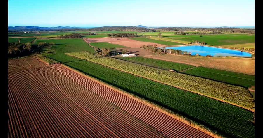 Mackay: 3 Hour Sugarcane Farm Tour - Is $48 a fair price?
