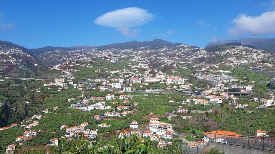 Madeira: Private Banana Farm Tour with Pickup - Marco’s role and the value of a private guide