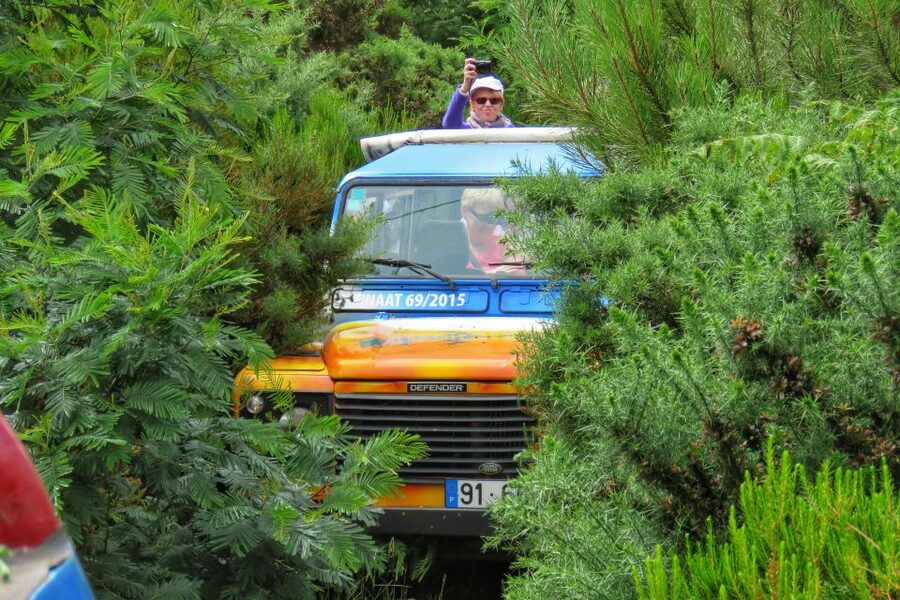 Madeira : Santo de Serra Local Farmers' Market half day trip - How much value do you get for $49?