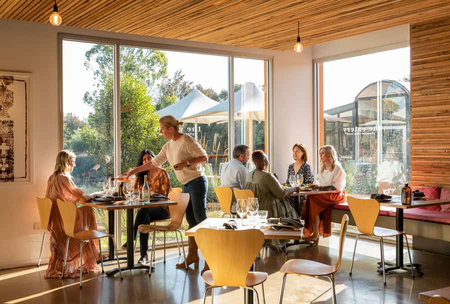Maggie Beer's Farm: Cooking Demonstration with Lunch & Wine - Wine or gin in the tasting room