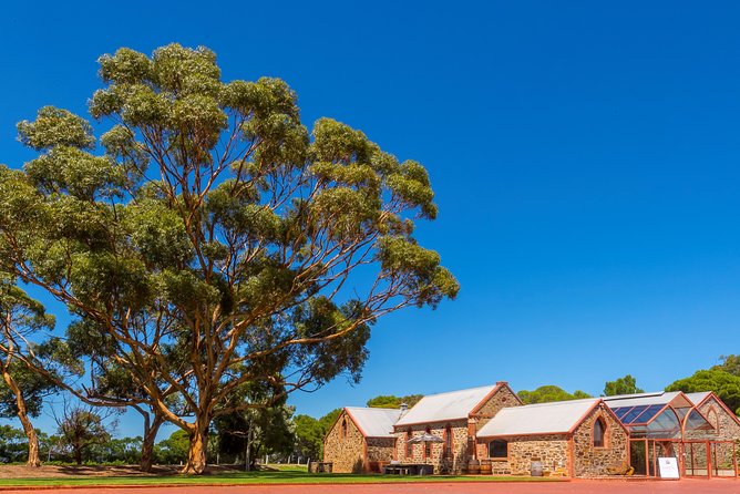 Maggie Beer's Farm Cooking School and Seasonal Lunch - Your turn at the kitchen bench
