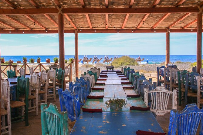 Magical Todos Santos Tour, Camel Ranch, Lunch and Tequila - Tequila and mezcal with the final tasting