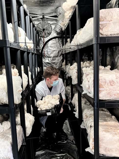 Makars Mushroom Farm Summerhall Tour with DIY Block Making - Why this small Edinburgh tour is worth your time