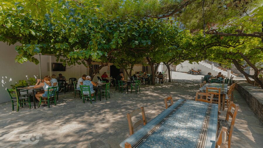 Makrigialos-Ierapetra: Hidden Villages & Olive Oil Farm Tour - The guide makes the difference