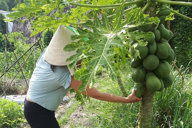 Market to Farm to Table Cooking Class in saigon - Fresh fruit before the farm lesson