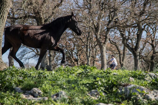 Martina Franca e-Bike tour . Visit a breeding and a dairy farm - Who Will Enjoy This Tour Most?