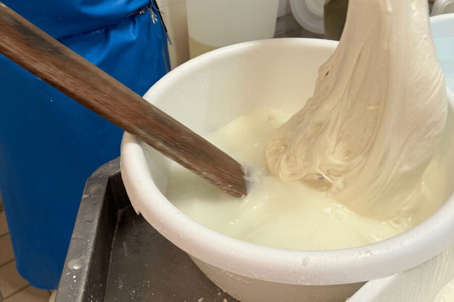 Martina Franca: Mozzarella and Pasta Workshop with Farm Tour - Inside the cheese factory and bakery