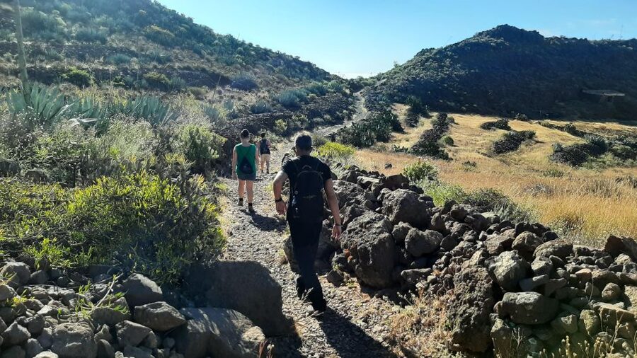 Maspalomas: Barranco de las Vacas, Caves, Farmhouse Tour - What the $78 price gets you