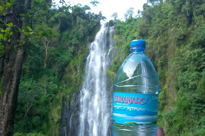 Materuni Waterfalls & Coffee Farm Tour - Key points to know before you book