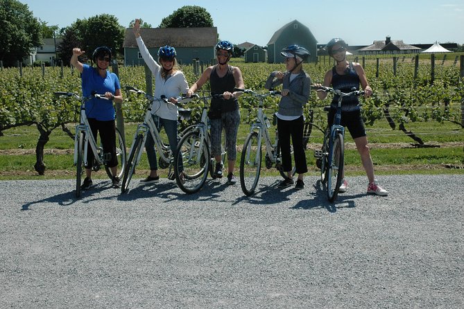 Mattituck Bike Wine Country and Fruit Orchard Tour - Pedaling into the vineyard fields