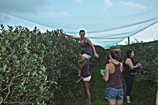 Mattituck Bike Wine Country and Fruit Orchard Tour - A farm stand filled with North Fork produce