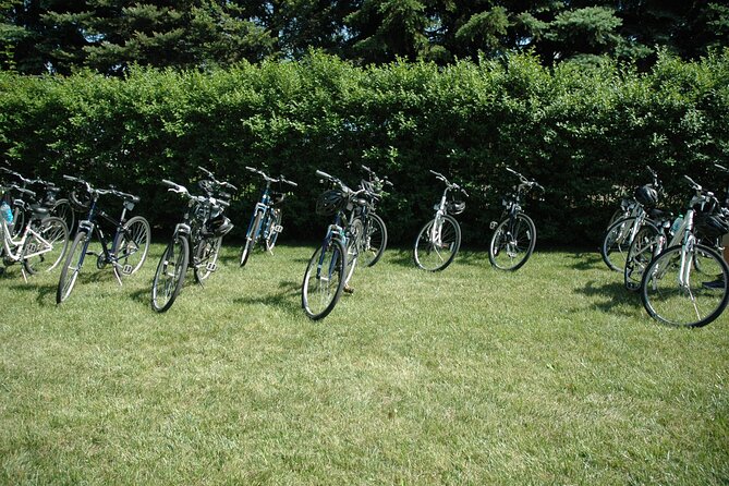 Mattituck Bike Wine Country and Fruit Orchard Tour - Orchard walking and fruit picking