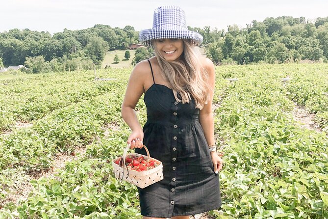 Mattituck Bike Wine Country and Fruit Orchard Tour - What the $141.99 price includes