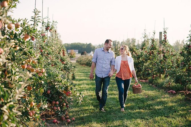 Mattituck Bike Wine Country and Fruit Orchard Tour - Who should book this tour
