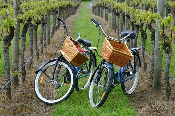 Mattituck New York Guided Farm and Wine Country Bike Tour - The beach stop brings in olive oil and vinegar