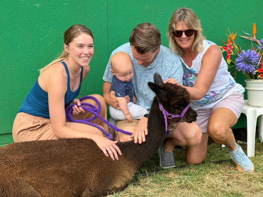 Maui: Alpaca Farm Visit with Hands-On Activities - Who will enjoy this most?