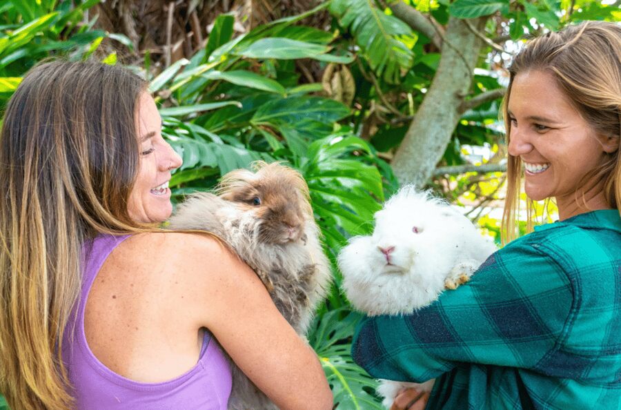 Maui: Alpaca Farm Visit with Hands-On Activities - Booking details that affect your plans