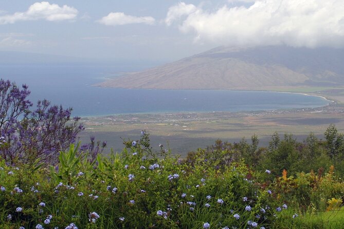 Maui Farm Distillery and local craft experience Full-Day Tour - Ocean Vodka Organic Farm and Distillery: The Day’s Main Tasting