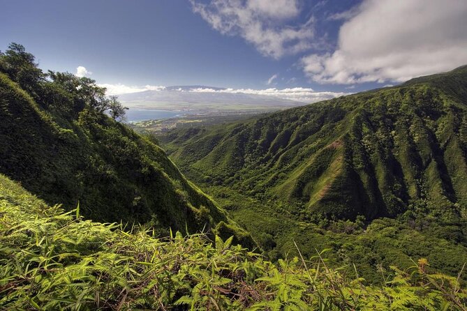 Maui Horseback Adventure at Circle M Ranch With Real Cowboys - Key points to know before you book
