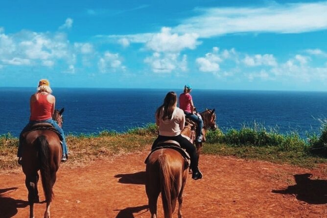 Maui Horseback Adventure at Circle M Ranch With Real Cowboys - What happens during the 2-hour visit