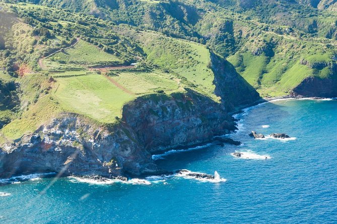 Maui Horseback Adventure at Circle M Ranch With Real Cowboys - What experienced riders should expect