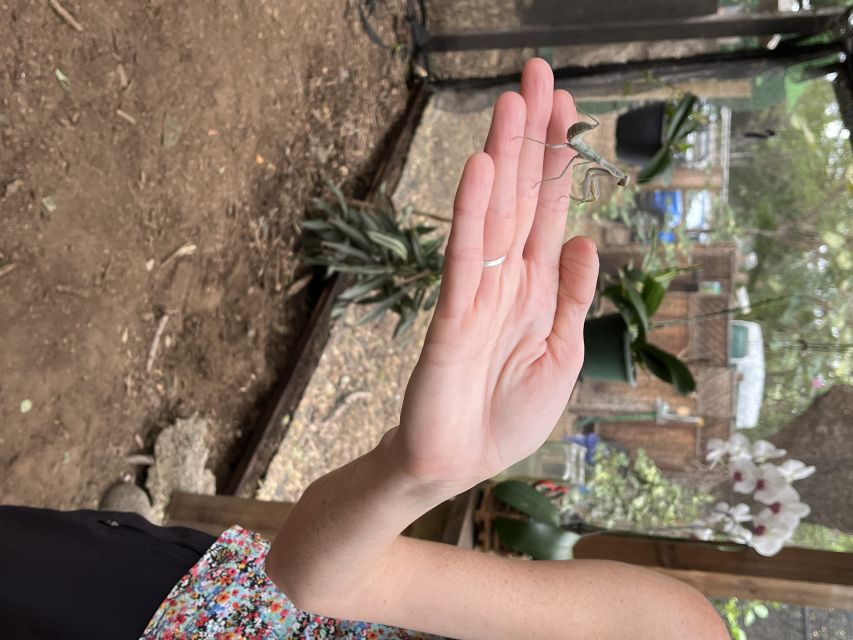 Maui: Interactive Butterfly Farm Entrance Ticket - What the 45-minute route feels like