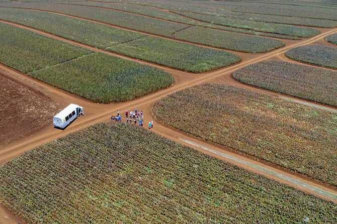 Maui Pineapple Farm Tour in Haliimaile - Starting at the Maui Pineapple Store in Haliimaile