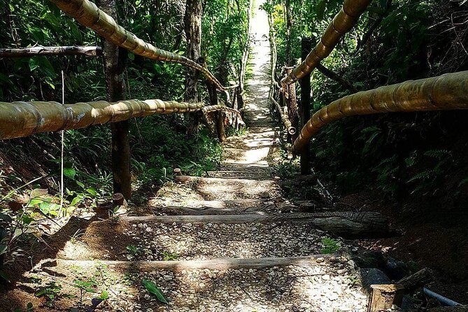 Mayfield Falls, Blue Hole & Rick's Café Tours/Weed Farm option - Mayfield Falls sets the tone for the day