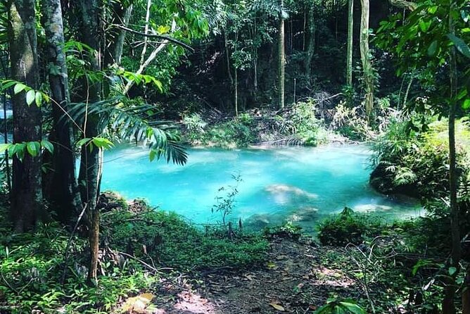 Mayfield Falls, Blue Hole & Rick's Café Tours/Weed Farm option - Who will enjoy this tour most
