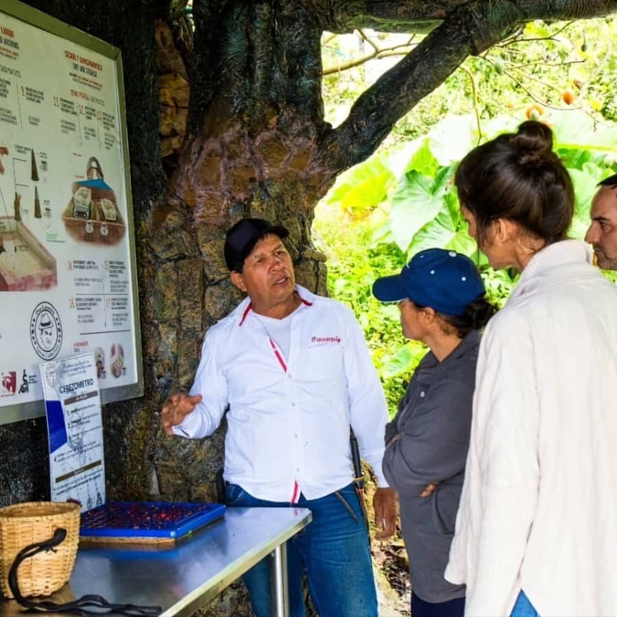 Medellin: Coffee Farm and Barista Workshop Experience - From Arví Park to Don Leandro Farm