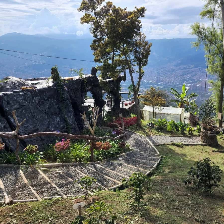 Medellin: Coffee Farm and Barista Workshop Experience - Entering Antioquia’s specialty coffee world