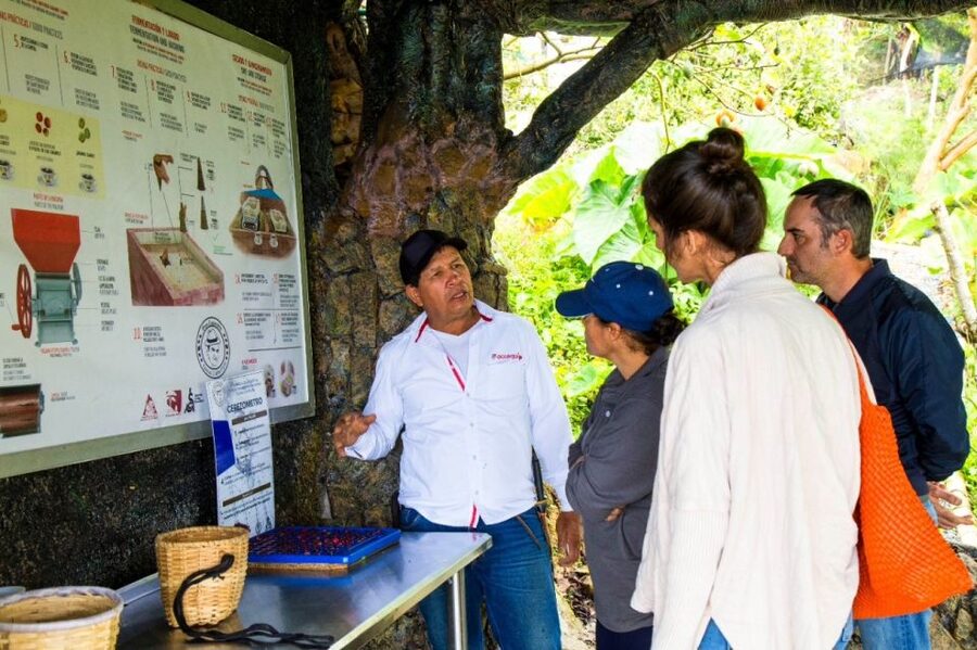 Medellin: Coffee Farm Tour & Spa with Overnight Glamping - Language, timing, and comfort