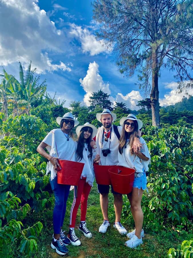Medellín Coffee Farm Tour with Trolley and Cable Car Ride - Walking through Barrio La Sierra