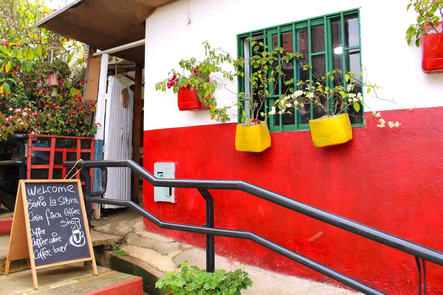 Medellín Coffee Farm Tour with Trolley and Cable Car Ride - Picking coffee cherries with your own hands