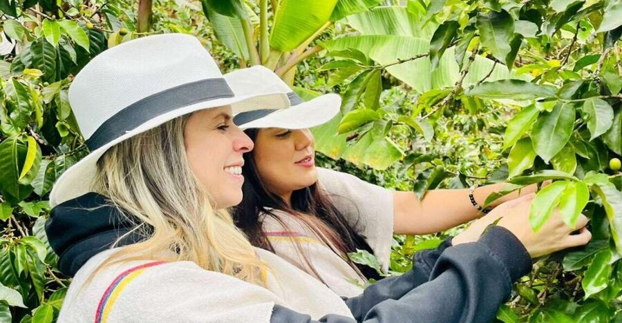 Medellín Coffee Farm Tour with Trolley and Cable Car Ride - Coffee tasting and buying a bag to take home