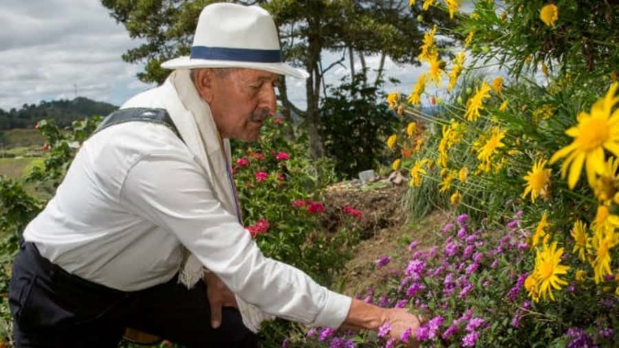Medellín: Flower Farm & Silletero History Tour - Why Santa Elena matters to Medellín’s flower story