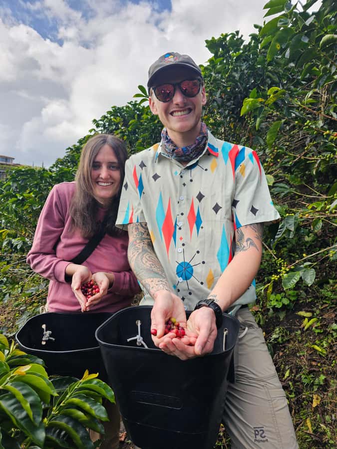 Medellin: Guatape, El Peñol Coffee Farm Private Tour & Fruit - Timing, comfort, and who should book