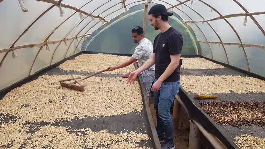 Medellin: Guatape, El Peñol Coffee Farm Private Tour & Fruit - Why this day works as a Medellín side trip